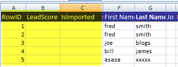 Lead source data with added columns Lead source data with added columns